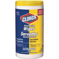 Disinfecting Wipes, 75 Count JO242 | Brunswick Fyr & Safety