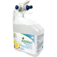 Concentrated Glass & Multi-Surface Cleaner, 4 L, Jug JP115 | Brunswick Fyr & Safety