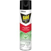 Insecticide pour araign&eacute;es et fourmis Essentials Raid, 350 g, Canette a&eacute;rosol Brunswick Fyr & Safety