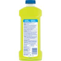 Multi Surface Cleaner with Lemon Scent, Bottle JQ324 | Brunswick Fyr & Safety