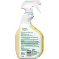 Nettoyant tout usage CloroxPro Clorox EcoClean, 946 ml, Bouteille &agrave; g&acirc;chette Brunswick Fyr & Safety