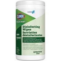 EcoClean Disinfecting Wipes, 75 Count Brunswick Fyr & Safety