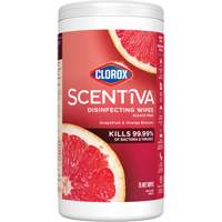 Disinfecting Wipes, 75 Count Brunswick Fyr & Safety