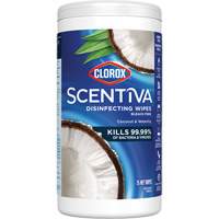 Disinfecting Wipes, 75 Count Brunswick Fyr & Safety