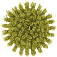 HyDrive Round Drill Brush, Extra Stiff Bristles, 3-1/10" Long, Yellow Brunswick Fyr & Safety