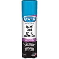 Pro Line Instant Shine for Plastic Surfaces, 11 oz., Aerosol Can Brunswick Fyr & Safety
