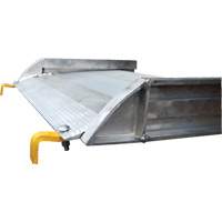 Rampe de promenade en aluminium, Capacité de 1000 lb, 38" la x 193-1/8" lo KI260 | Brunswick Fyr & Safety