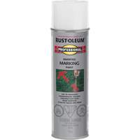 Inverted Marking Paint Spray, 426 g, Aerosol Can Brunswick Fyr & Safety