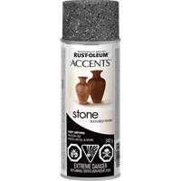 Accents&reg; Stone Creations Spray Paint, Aerosol Can, Grey Stone Brunswick Fyr & Safety