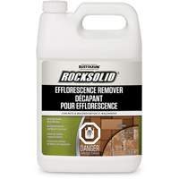 RockSolid<sup>®</sup> Efflorescence Remover KR387 | Brunswick Fyr & Safety