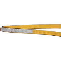 &eacute;lingues de levage en polyester, Pli Simple, Sans fin, Type 5, 1" la x 3' lo, Capacit&eacute; verticale 3200 lb Brunswick Fyr & Safety