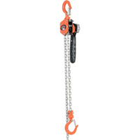 Mini Lever Hoist, 10' Lift, 500 lbs. (0.25 tons) Capacity, Steel Chain LU486 | Brunswick Fyr & Safety