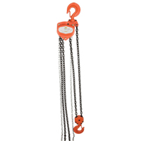 Chain Hoist, 20' Lift, 4000 lbs. (2 tons) Capacity, Alloy Steel Chain LU583 | Brunswick Fyr & Safety