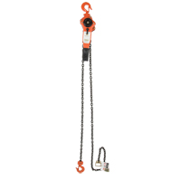 Palan &agrave; levier, Lev&eacute;e 5', Cabacit&eacute; 3000 lb (1,5 tonne), Chaîne en Acier alli&eacute; Brunswick Fyr & Safety