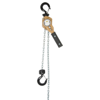 Heavy Duty Gold Series Lever Chain Hoist, 10' Lift, 500 lbs. (0.25 tons) Capacity, Alloy Steel Chain Brunswick Fyr & Safety
