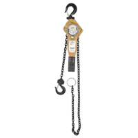Heavy Duty Gold Series Lever Chain Hoist, 5' Lift, 1500 lbs. (0.75 tons) Capacity, Alloy Steel Chain Brunswick Fyr & Safety