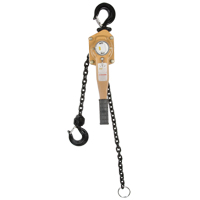 Heavy Duty Gold Series Lever Chain Hoist, 5' Lift, 6000 lbs. (3 tons) Capacity, Alloy Steel Chain Brunswick Fyr & Safety
