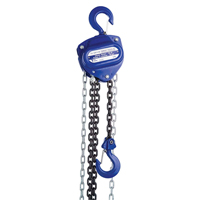 Chain Hoist, 10' Lift, 2000 lbs. (1 tons) Capacity, Load Chain Grade 80 Chain Brunswick Fyr & Safety