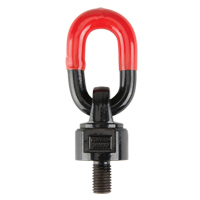 Anneaux de treuil de levage pivotant, 1/4", Longueur du filetage 13 mm, Acier alli&eacute; Brunswick Fyr & Safety