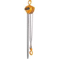 Kito Manual Chain Hoist, 15' Lift, 2000 lbs. (1 tons) Capacity, Steel Chain LW420 | Brunswick Fyr & Safety