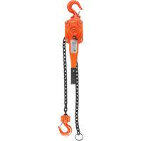Lever Hoist, 5' Lift, 6000 lbs. (3 tons) Capacity, Alloy Steel Chain Brunswick Fyr & Safety