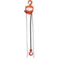 Chain Hoist, 10' Lift, 1000 lbs. (0.45 tons) Capacity, Alloy Steel Chain Brunswick Fyr & Safety