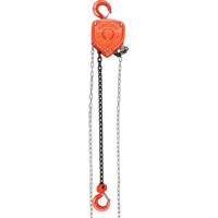Chain Hoist, 10' Lift, 1000 lbs. (0.45 tons) Capacity, Alloy Steel Chain Brunswick Fyr & Safety