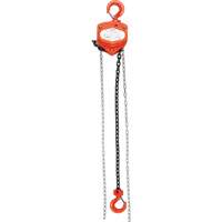 Chain Hoist, 20' Lift, 1000 lbs. (0.45 tons) Capacity, Alloy Steel Chain Brunswick Fyr & Safety