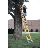 Industrial Heavy-Duty Extension Ladders (6200 Series), 375 lbs. Cap., 13' H, Grade 1AA Brunswick Fyr & Safety