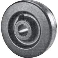 Phenolic Wheel Brunswick Fyr & Safety