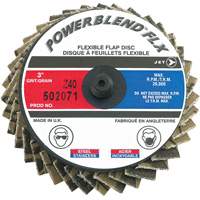 Flap Discs