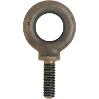 Metric Eyebolt, 51 mm Dia., 70 mm L, 11400 lbs. (5.7 tons) Capacity Brunswick Fyr & Safety