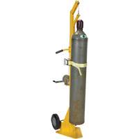Portable Cylinder Lifter MP117 | Brunswick Fyr & Safety