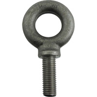 Alloy Steel Eye Bolt, 1-11/16" Dia., 2-1/4" L, 8800 lbs./8800 lbs. (4.4 tons) Capacity Brunswick Fyr & Safety