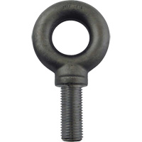 Alloy Steel Eye Bolt, 2-1/2" Dia., 3-1/2" L, 26600 lbs. (13.3 tons)/26600 lbs. Capacity Brunswick Fyr & Safety