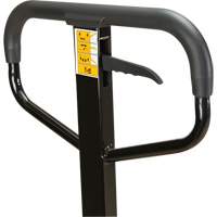 Manual Pallet Truck, Steel, 48" L x 27" W, 5500 lbs. Capacity Brunswick Fyr & Safety