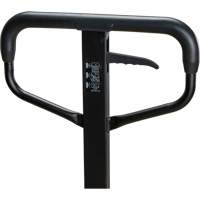 Steel Wheel Pallet Truck, Steel, 48" L x 27" W, 5500 lbs. Capacity Brunswick Fyr & Safety