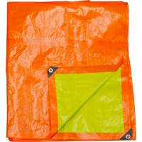 High-Visibility Heavy-Duty Woven Tarp, Polyethylene, Green/Orange, 16' x 20' x 12 mils Brunswick Fyr & Safety
