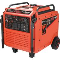 Tri-Fuel Inverter Generator Brunswick Fyr & Safety