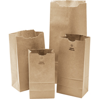 Paper Bags, Paper, 4-13/16" W x 8-1/2" L NG392 | Brunswick Fyr & Safety