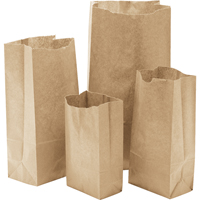 Paper Bags, Paper, 3" W x 5-7/8" L NG397 | Brunswick Fyr & Safety