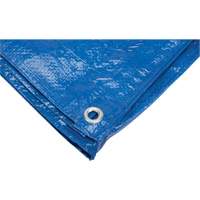 Tarp, Standard Duty, Blue, 7' x 5' x 4 mils Brunswick Fyr & Safety