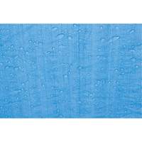 Tarp, Standard Duty, Blue, 7' x 5' x 4 mils Brunswick Fyr & Safety