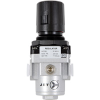Intermediate Air Regulator, 1/4", 220 Max. PSI Brunswick Fyr & Safety