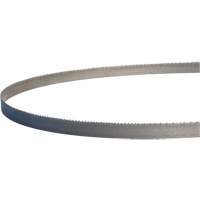 Master-Band&reg; Portable Band Saw Blades, Bi-Metal, 18 TPI, 44-7/8" L x 1/2" W Brunswick Fyr & Safety