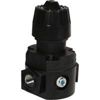 Wilkerson Compact Regulator R16, 1/4" NPT, 300 psi Max. PSI, Standard Brunswick Fyr & Safety