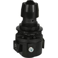 Wilkerson Regulator R26, 3/8" NPT, 300 psi Max. PSI, Standard Brunswick Fyr & Safety