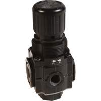 Series 1 Manifold Regulator, 1/4" NPT, 150 PSI Max. PSI, Standard Brunswick Fyr & Safety