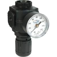 Series 1 Compact Regulator, 1/2" NPT, 150 PSI Max. PSI, Standard Brunswick Fyr & Safety