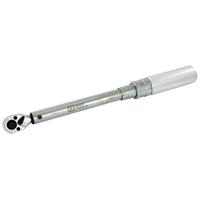 Cl&eacute; dynamom&eacute;trique &agrave; microm&egrave;tre, &agrave; cliquer, Entraînement 3/8" carr&eacute;, 30 - 250 lb-po Brunswick Fyr & Safety